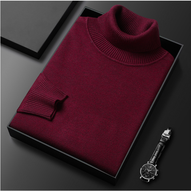 Vincent - Men's Ribbed Knit Turtleneck Sweater